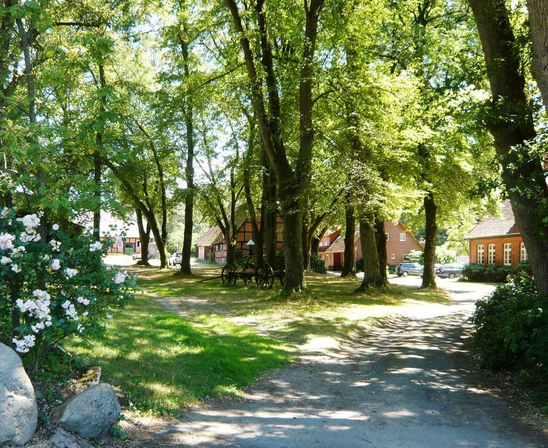 Ferienpension Lindenhof - Ferienwohnungen In Der Lueneburger Heide Marxen am Berge Exteriör bild
