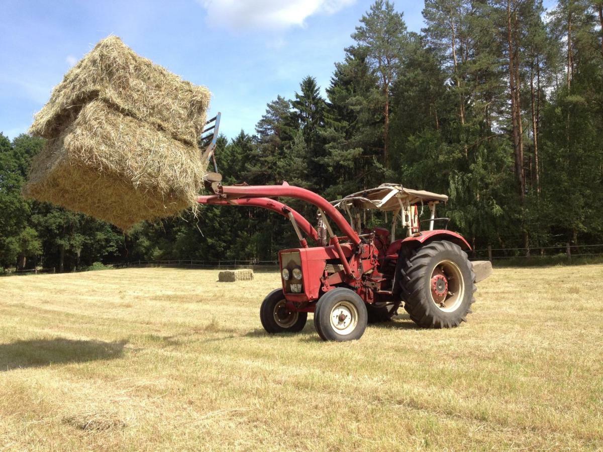 Ferienpension Lindenhof - Ferienwohnungen In Der Lueneburger Heide Marxen am Berge Exteriör bild